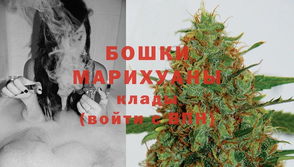 крисы Зеленокумск