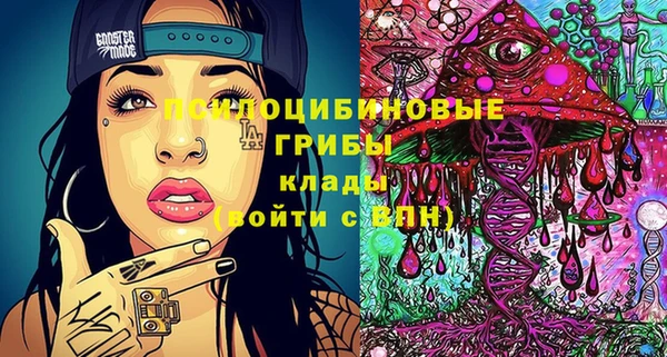 мдпв Зерноград