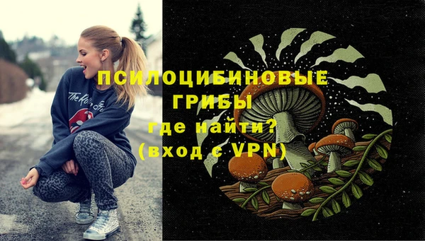 крисы Зеленокумск