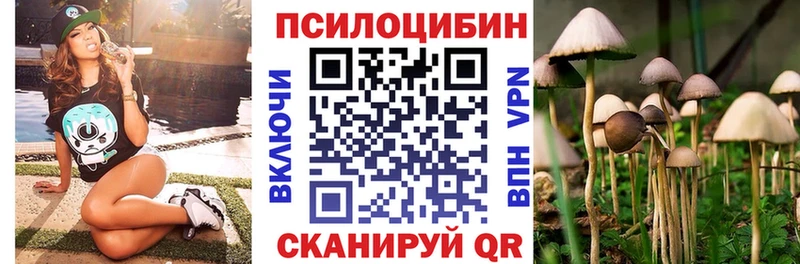 Галлюциногенные грибы Psilocybe Моршанск